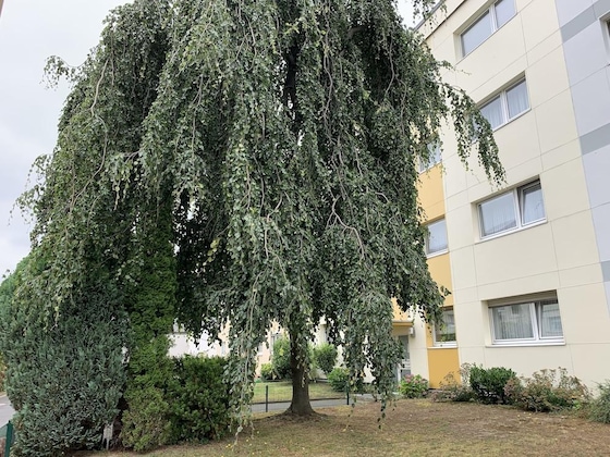 Gallery - Airport Apartment Köln Bonn