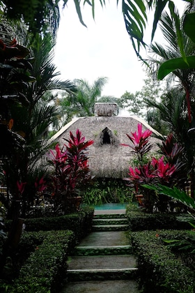 Gallery - La Palapa Eco Lodge Resort