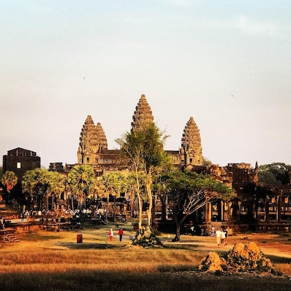 Gallery - La Palmeraie. D'angkor