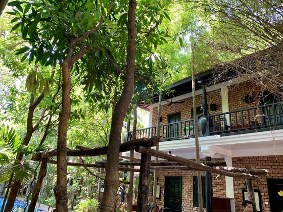 Gallery - Petit Villa Boutique & Spa