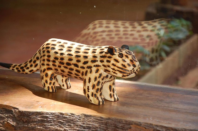Gallery - Tierra Guarani Lodge De Selva
