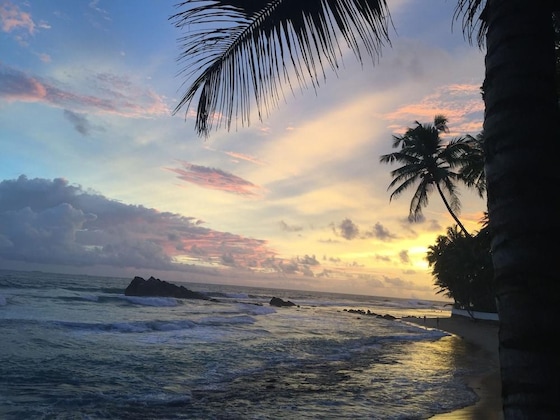 Gallery - Blue Sky Beach Resort