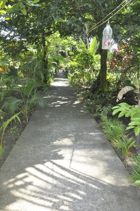 Gallery - Hotel Playa Westfalia