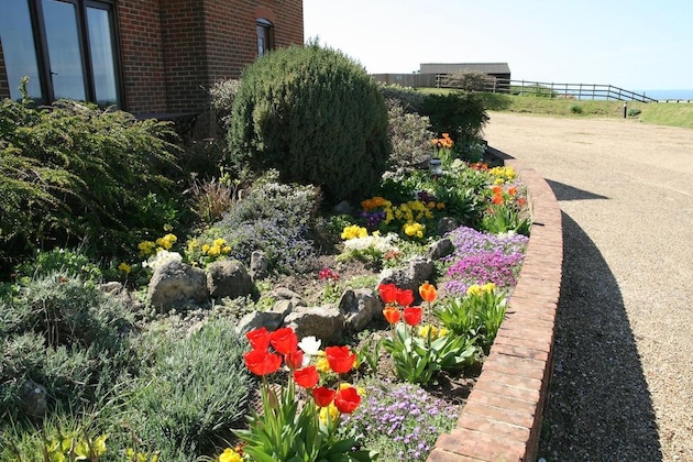 Gallery - Chale Bay Farm