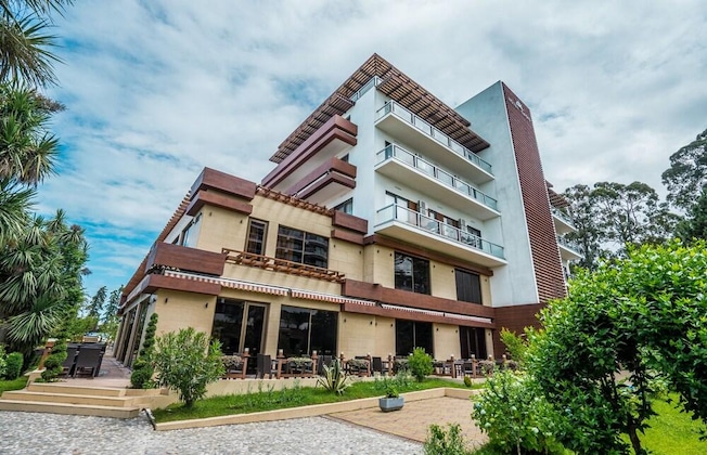 Gallery - Hotel Dreamland Oasis