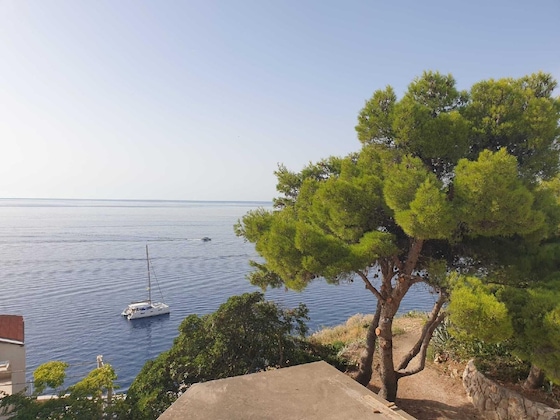 Gallery - Apartments Mare