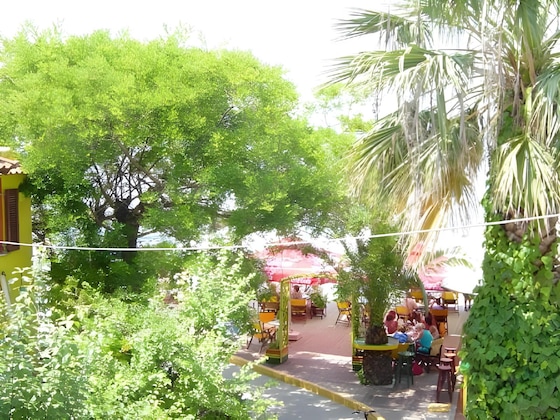 Gallery - Captain's Beach Apartments