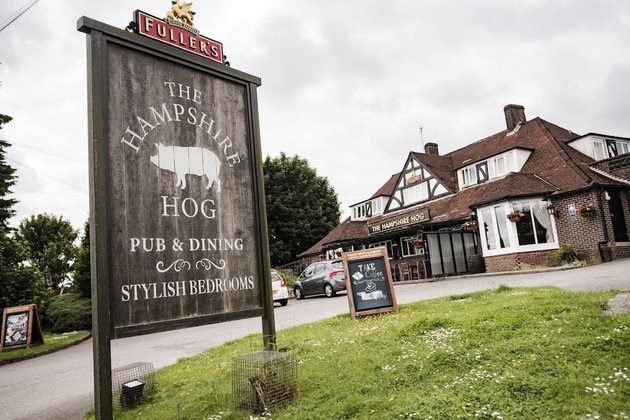 Gallery - Hampshire Hog