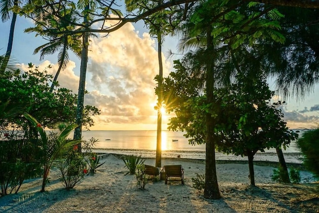Gallery - Indigo Beach Zanzibar
