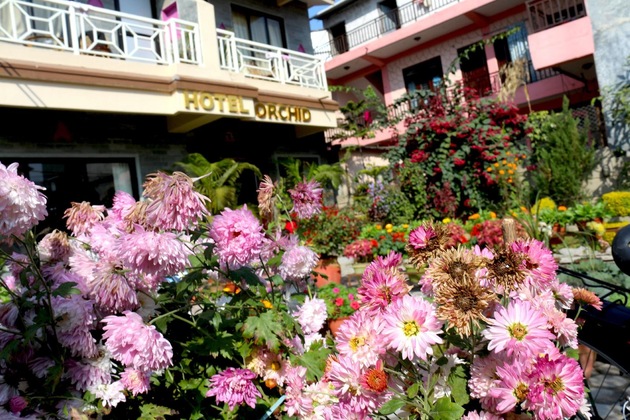 Gallery - Hotel Orchid
