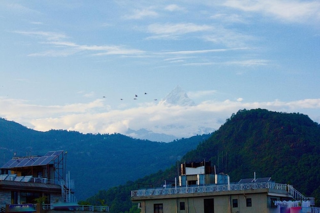Gallery - Hotel Himalayan Inn