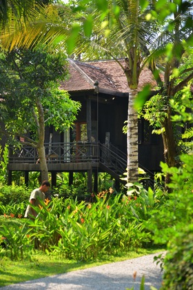Gallery - Maison Polanka