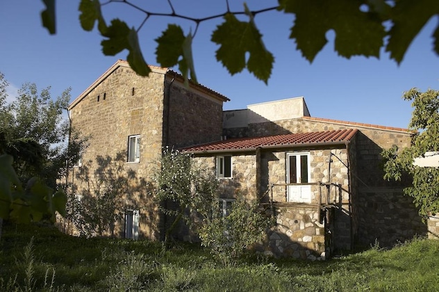 Gallery - Azienda Agricola Le Tore Srl