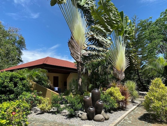 Gallery - Alona Swiss Resort
