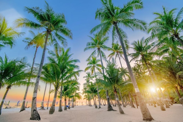 Gallery - Oceanica Resort Panglao