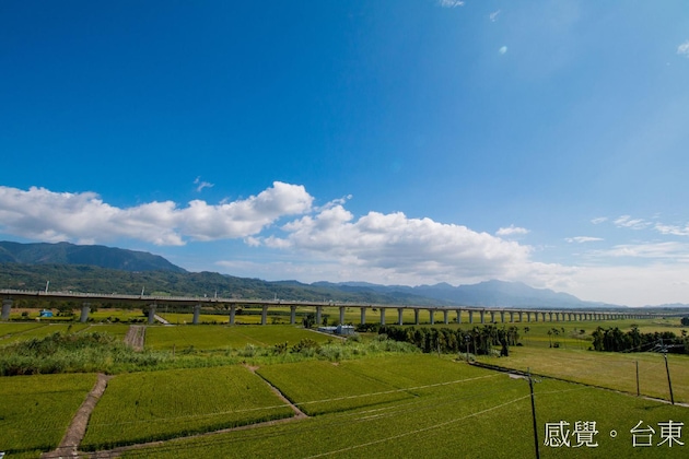 Gallery - Fu Taitung B&B