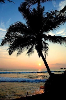 Gallery - Time N Tide Beach Resort