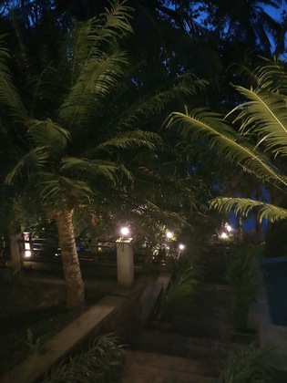 Gallery - Villa Birdlake