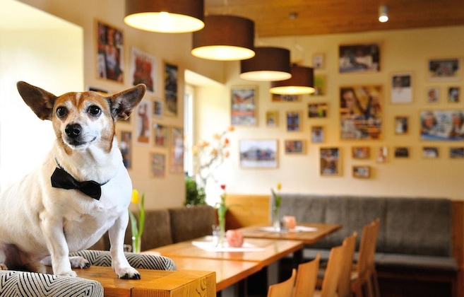 Gallery - Hotel Fis