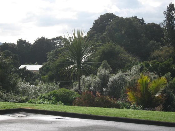 Gallery - Birchgrove Cottages