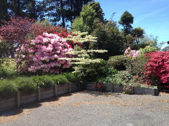 Gallery - Kauri Point Luxury Bed & Breakfast