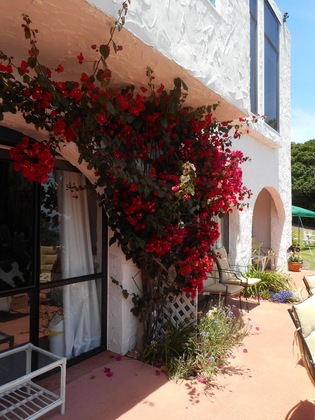 Gallery - La Casa Te Puru Lodge
