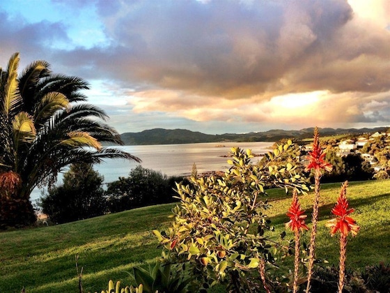 Gallery - Carneval Ocean View