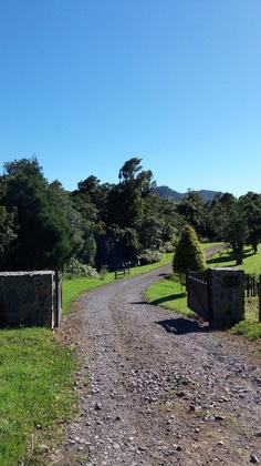 Gallery - Patuha Rainforest Retreat