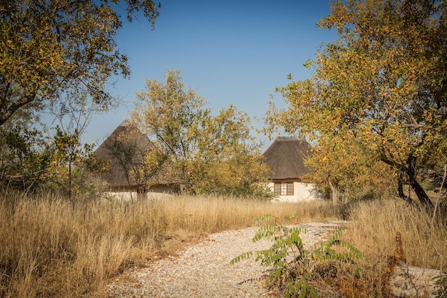 Gallery - Mbizi Bush Lodge
