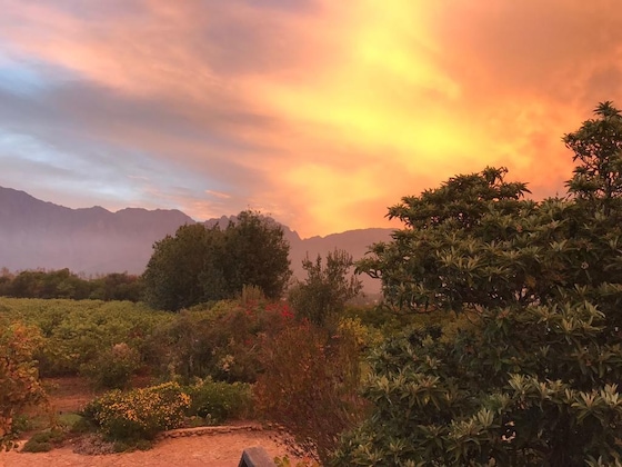 Gallery - Palmiet Valley Estate