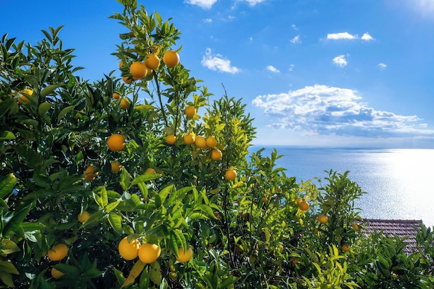 Gallery - Locanda Degli Agrumi