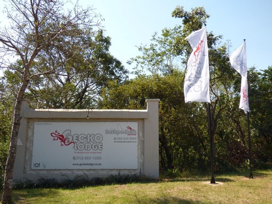 Gallery - Gecko Lodge