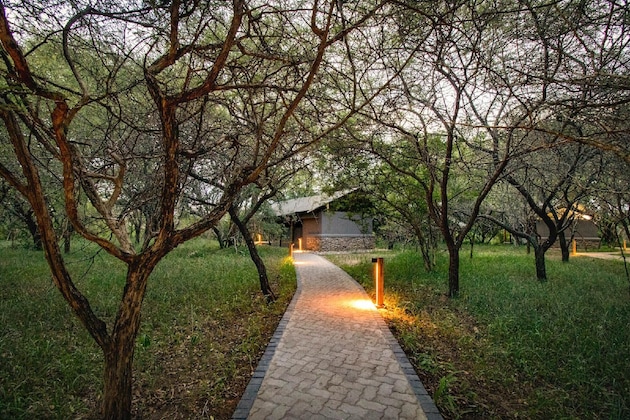 Gallery - Vuyani Safari Lodge
