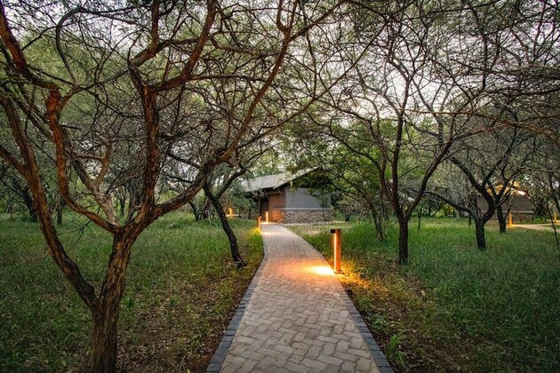 Gallery - Vuyani Safari Lodge
