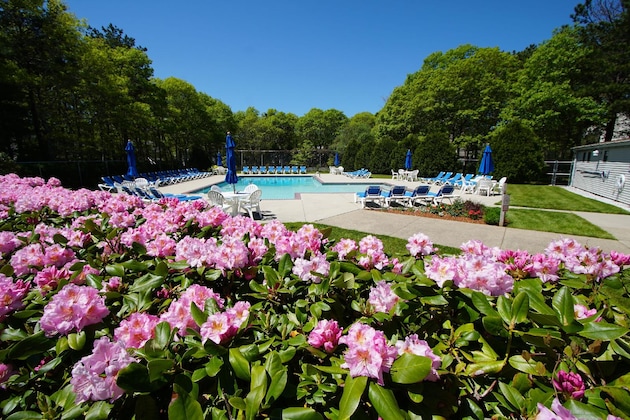 Gallery - Sea Mist Resort