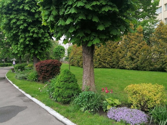Gallery - Cherkasy Palace