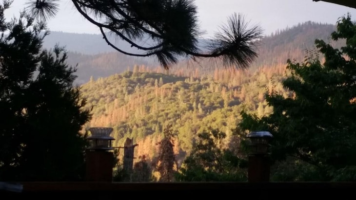 Gallery - Pine Rose Inn