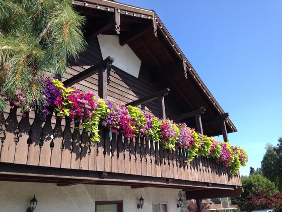 Gallery - Linderhof Inn