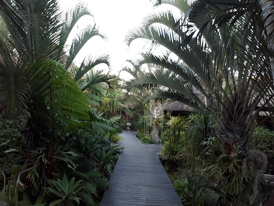 Gallery - Lodge Afrique