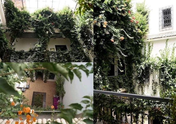 Gallery - Riad Nafora
