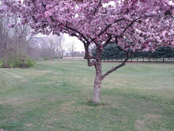 Gallery - Brook Pointe Inn