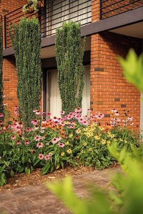 Gallery - The Beaucatcher – A Boutique Motel