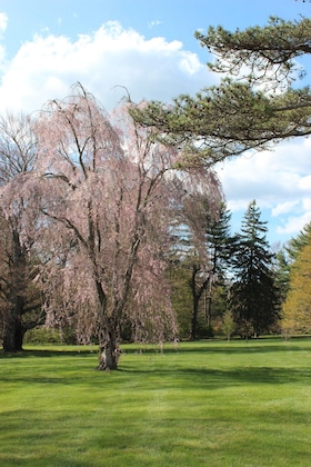 Gallery - Wheatleigh