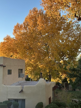 Gallery - El Pueblo Lodge