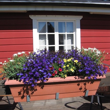 Gallery - Lappeasuando Lodge