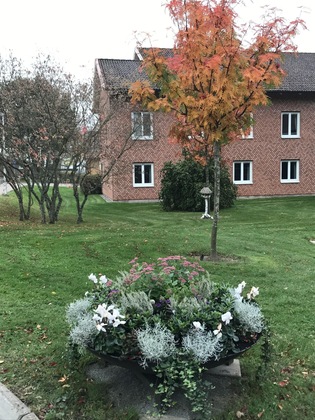 Gallery - Best Western Valhall Park Hotell