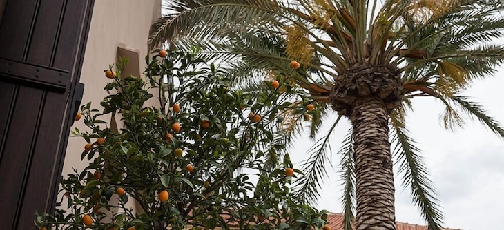 Gallery - La Maison Ottomane