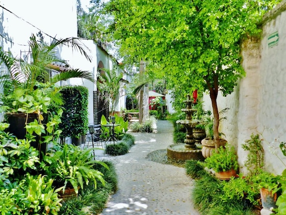 Gallery - Hotel Rosa Morada