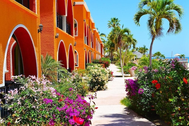 Gallery - Hotel Palmas De Cortez