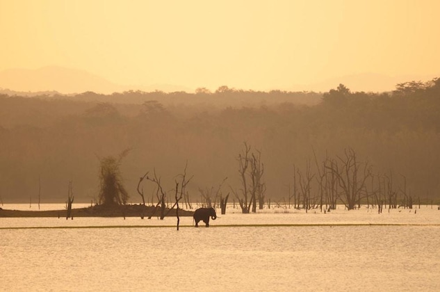 Gallery - Evolve Back, Kabini
